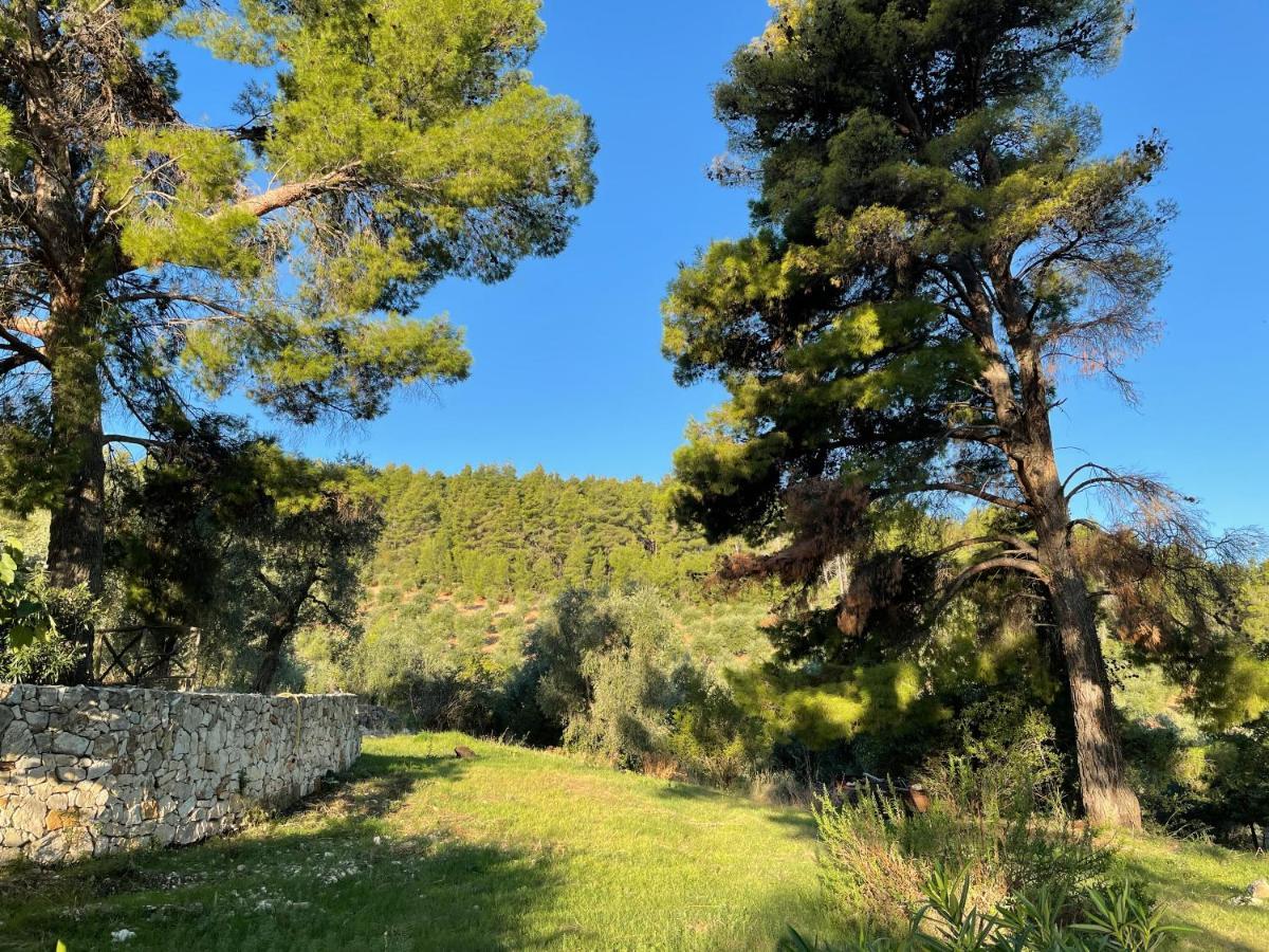 Novecento Country House Vieste Exterior photo
